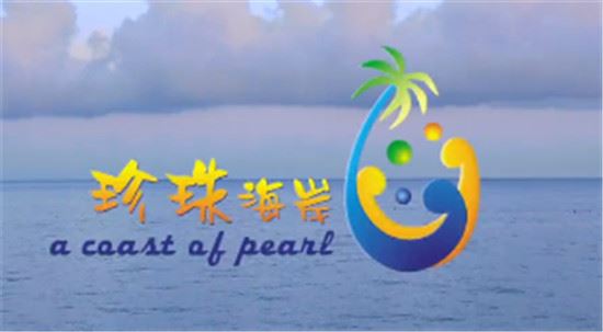 海南省侨联向海内外宣传各市县 展示真实立体全面的海南自贸港（十四）