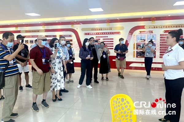 讲述中国故事新疆篇章：“追梦中华·大美新疆”2022海外华文媒体采访行走进新疆_fororder_4